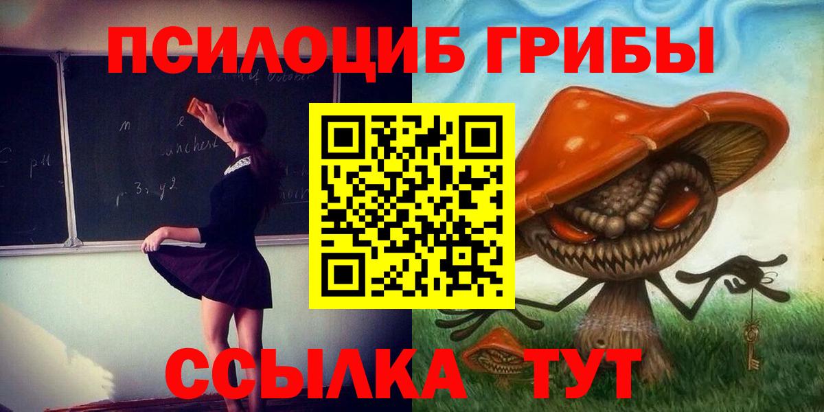 Чебоксары  Псилоцибиновые грибы MAGIC MUSHROOMS  Галлюциногенные грибы Psilocybine cubensis  Вход с VPN 